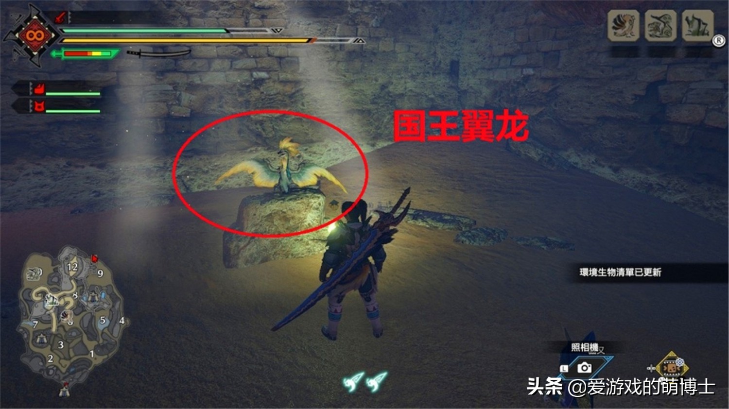 《怪物猎人：崛起》玩家用时38秒钟“讨伐”国王翼龙