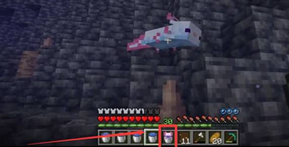 image.png